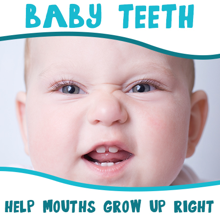 How Baby Teeth Help Mouths Grow Up Right
