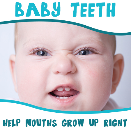 baby teeth