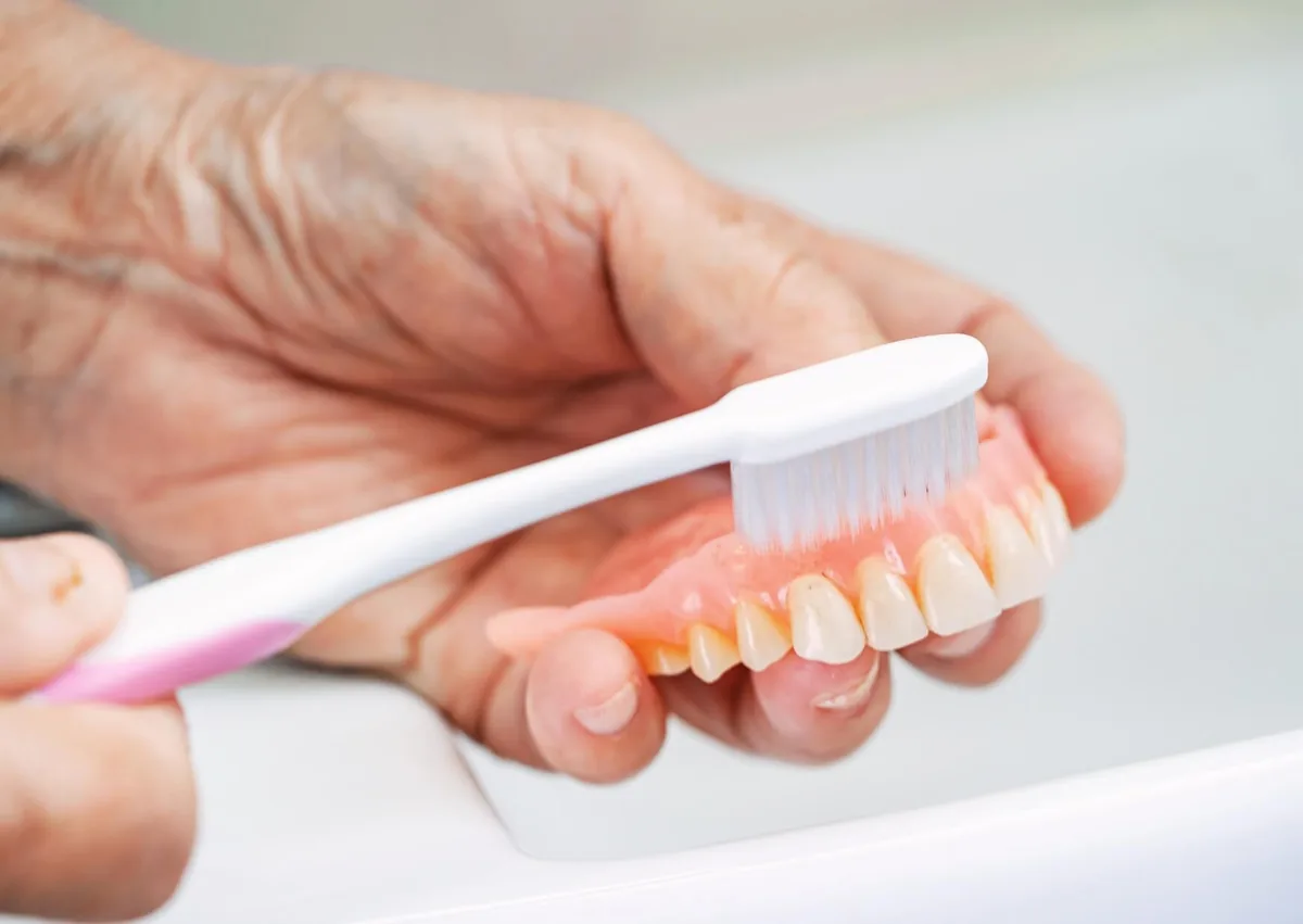 Toothbrush cleaning a denture model to demonstrate proper denture care and daily hygiene.
